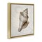 Stupell Industries Conch Shell over Vintage Map Floating Frame Design by Conrad Knutsen